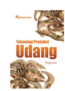 Budidaya Udang